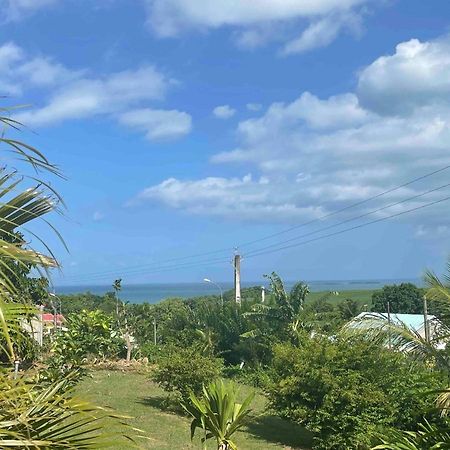 Bel Appartement T2 Avec Vue Sur Palmier Et Mer Sainte-Rose Esterno foto