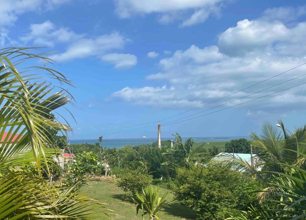 Bel Appartement T2 Avec Vue Sur Palmier Et Mer Sainte-Rose Esterno foto